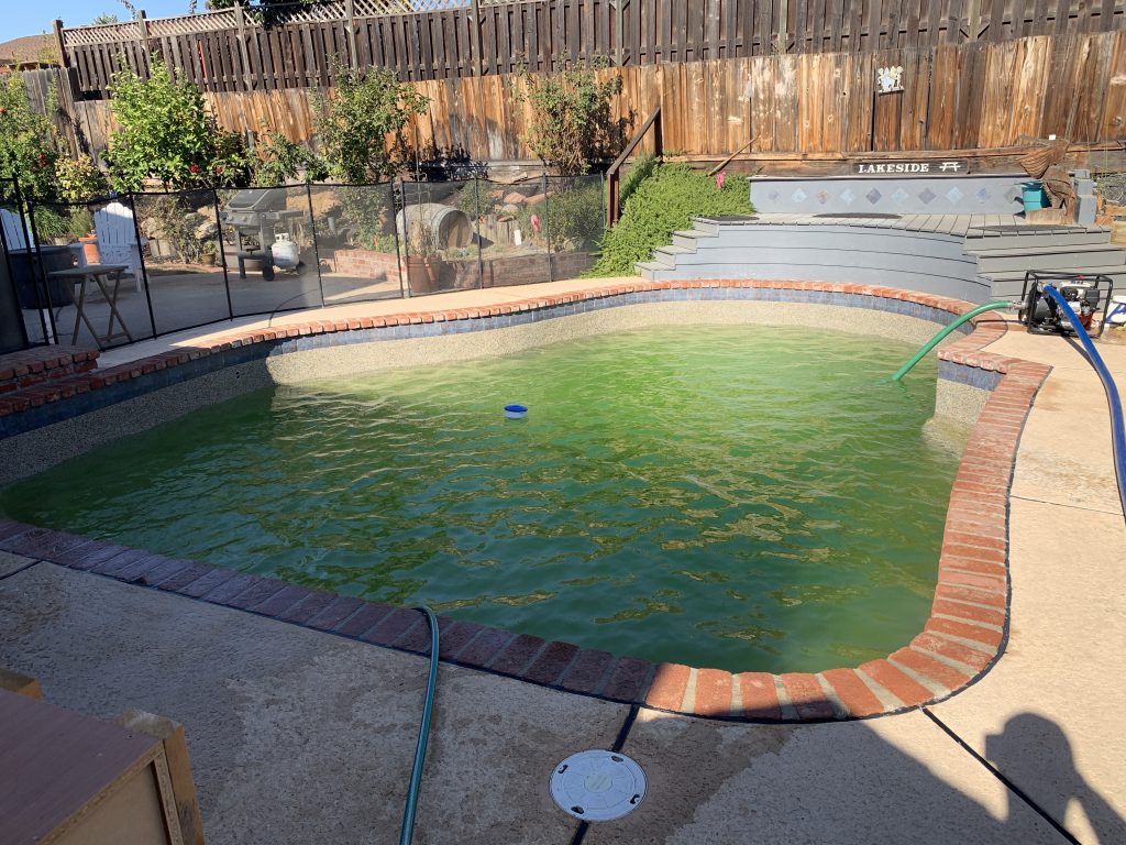 green pool needing cleaned and chemicals added