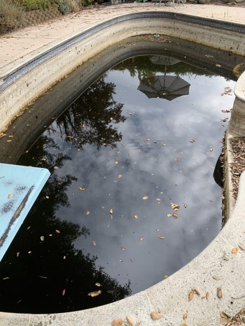 salt water pool turned green after shock