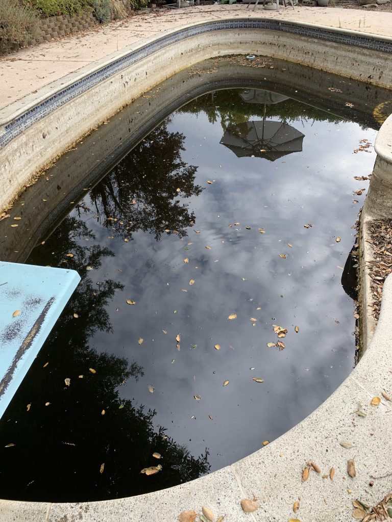 dirty pool in pleasanton ca