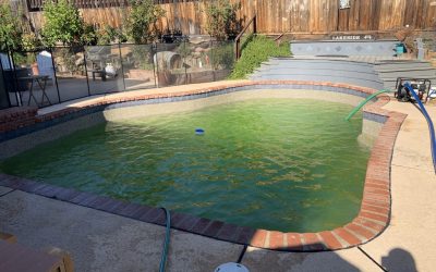 Save Money on Green Colored Pools